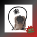 Seibertron Taktischer Molle Hydrations-Trägerrucksack, großartig für Outdoor-Sportarten wie Laufen, Wandern, Camping, Radfahren, Motorradfahren — 2L Wasserblase style thumbnail